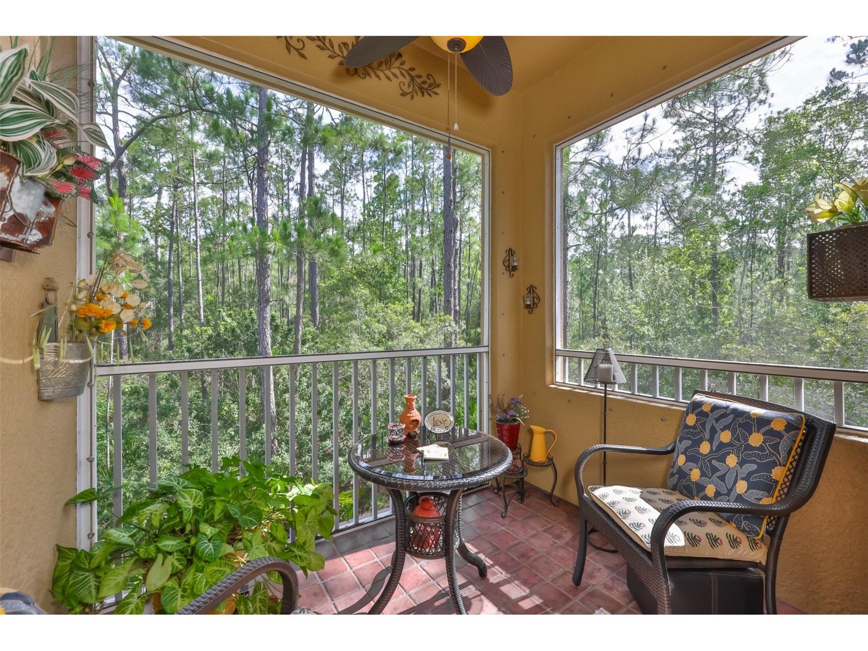 12646 Silverdale Street Tampa FL 33626 TB8517285 image23