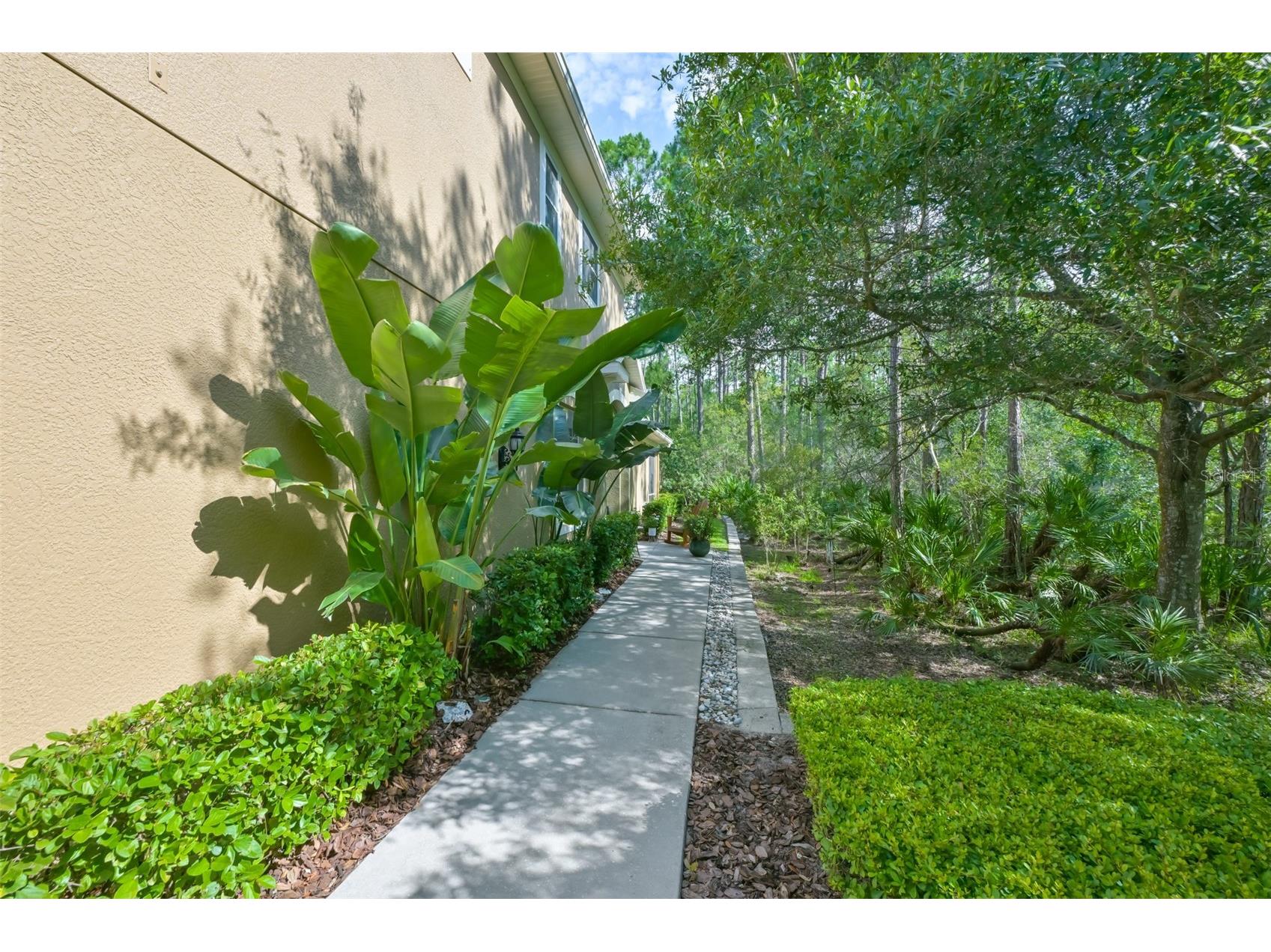 12646 Silverdale Street Tampa FL 33626 TB8517285 image3