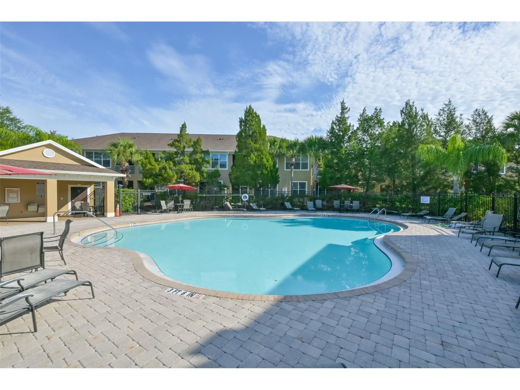 12646 Silverdale Street Tampa FL 33626 TB8517285 image32