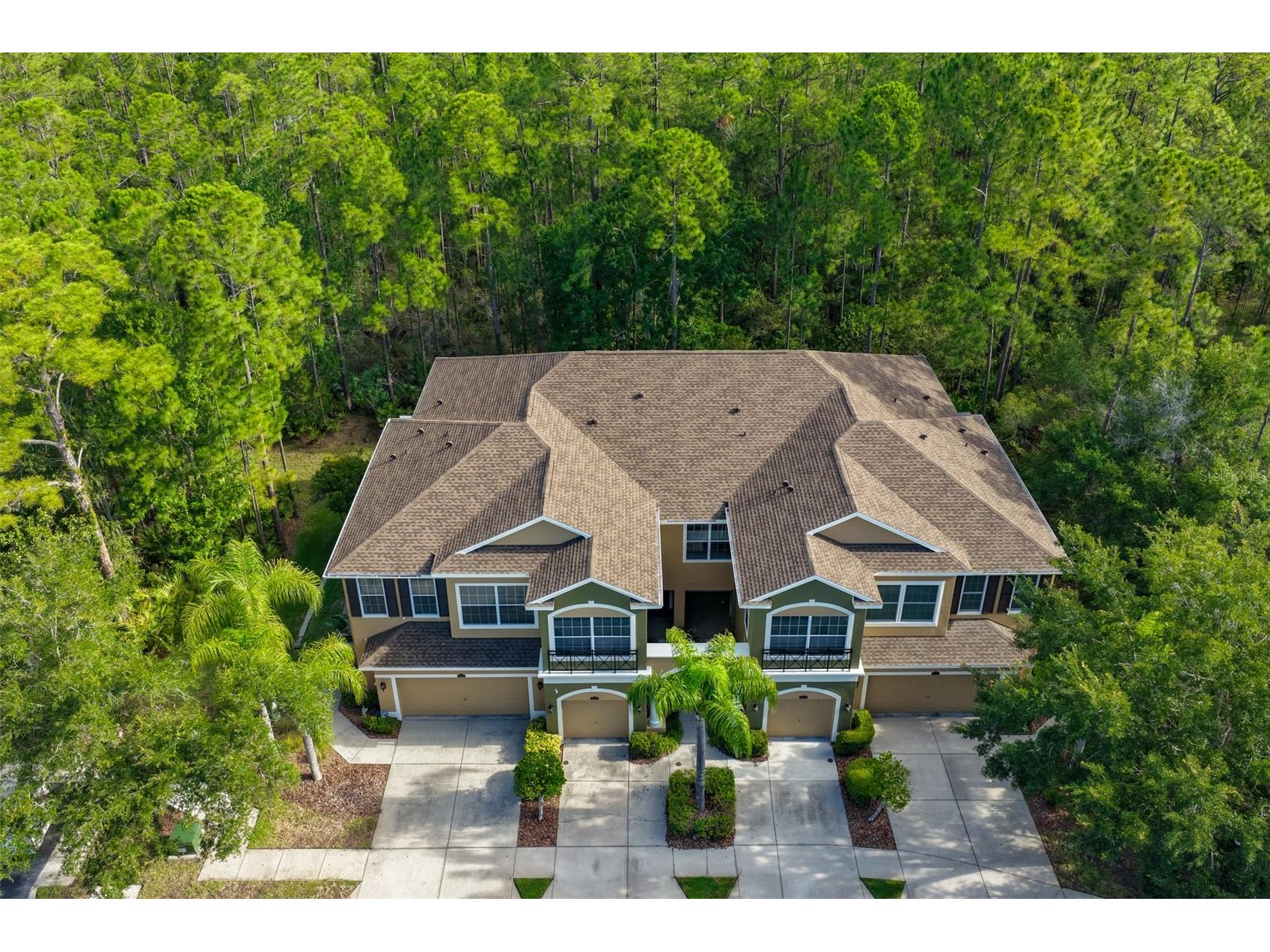 12646 Silverdale Street Tampa FL 33626 TB8517285 image35