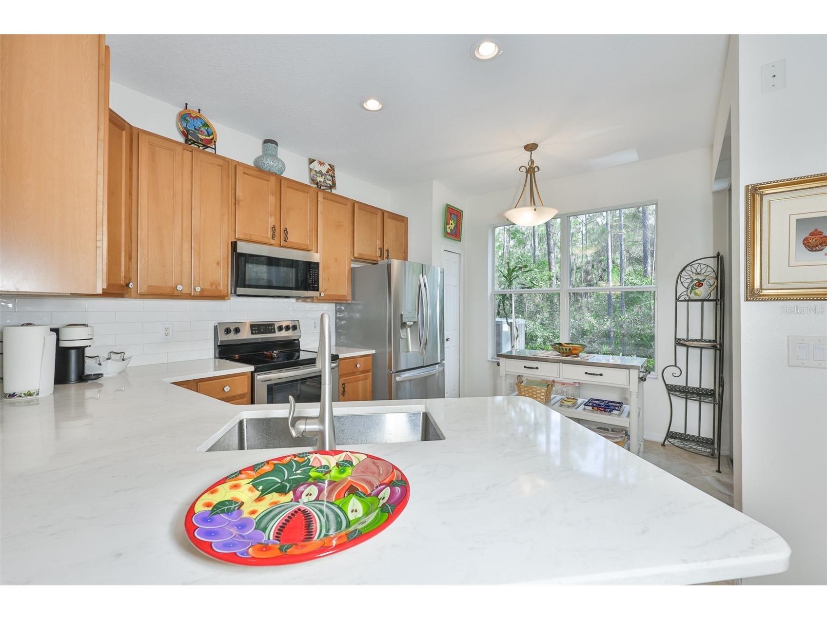 12646 Silverdale Street Tampa FL 33626 TB8517285 image9