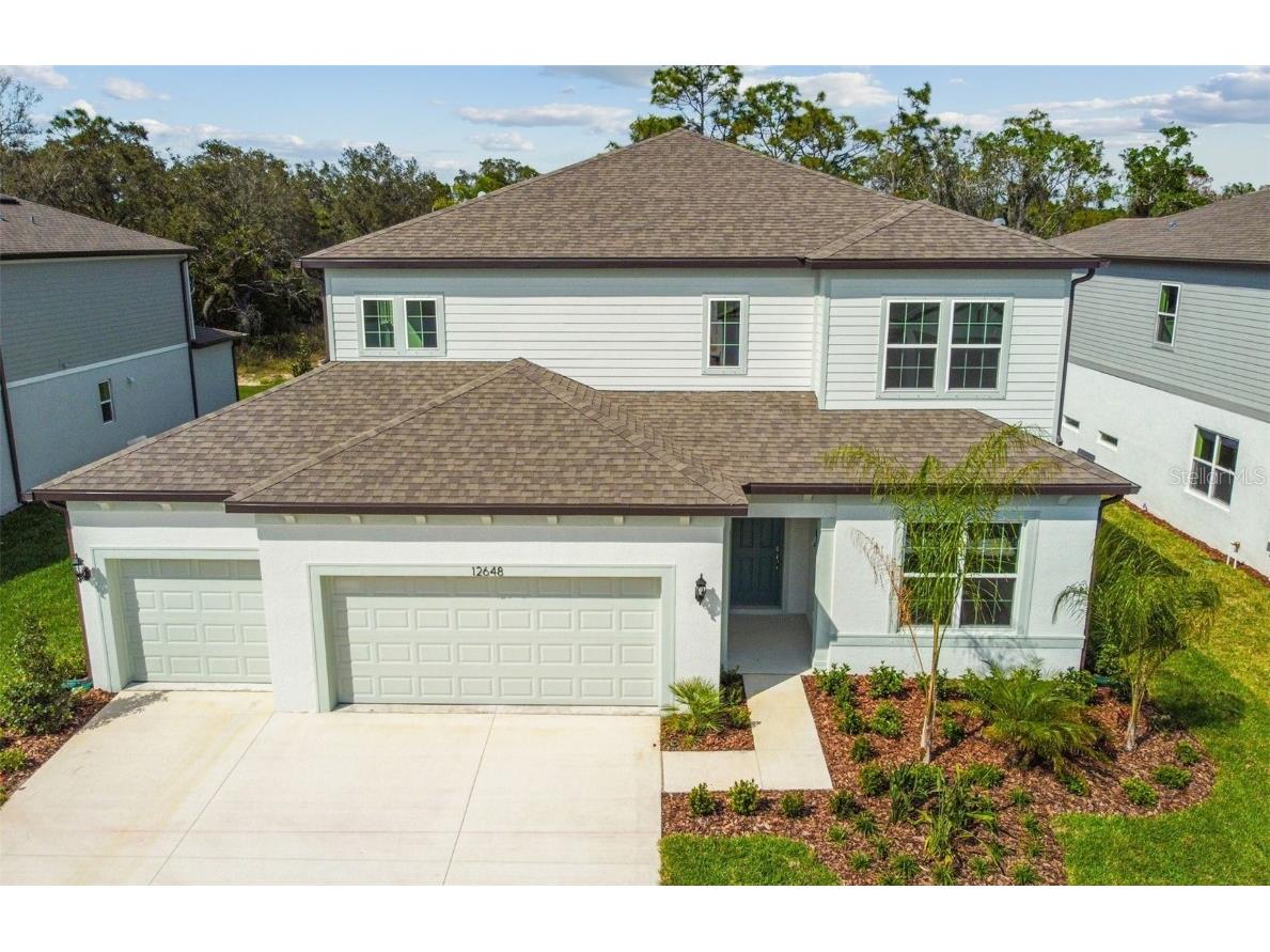 12648 Hayes Clan Road Riverview FL 33579 T3489250 image1
