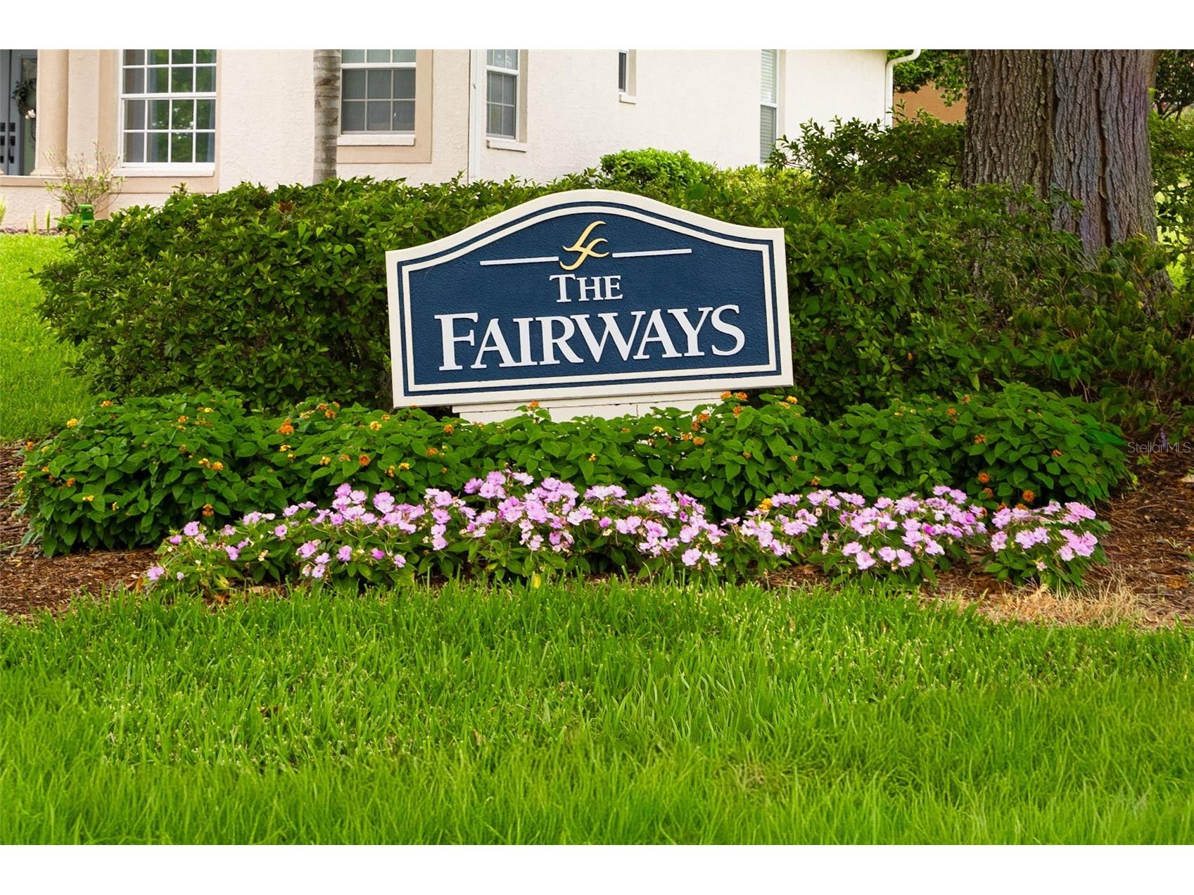12649 Oak Hollow Court Dade City FL 33525 TB8523614 image55