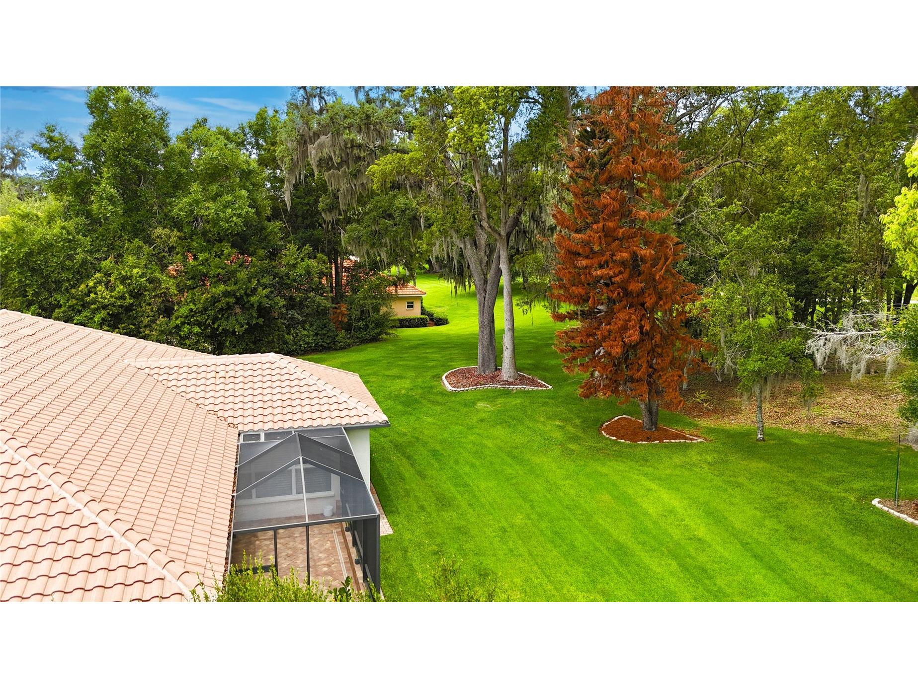12649 Oak Hollow Court Dade City FL 33525 TB8523614 image7