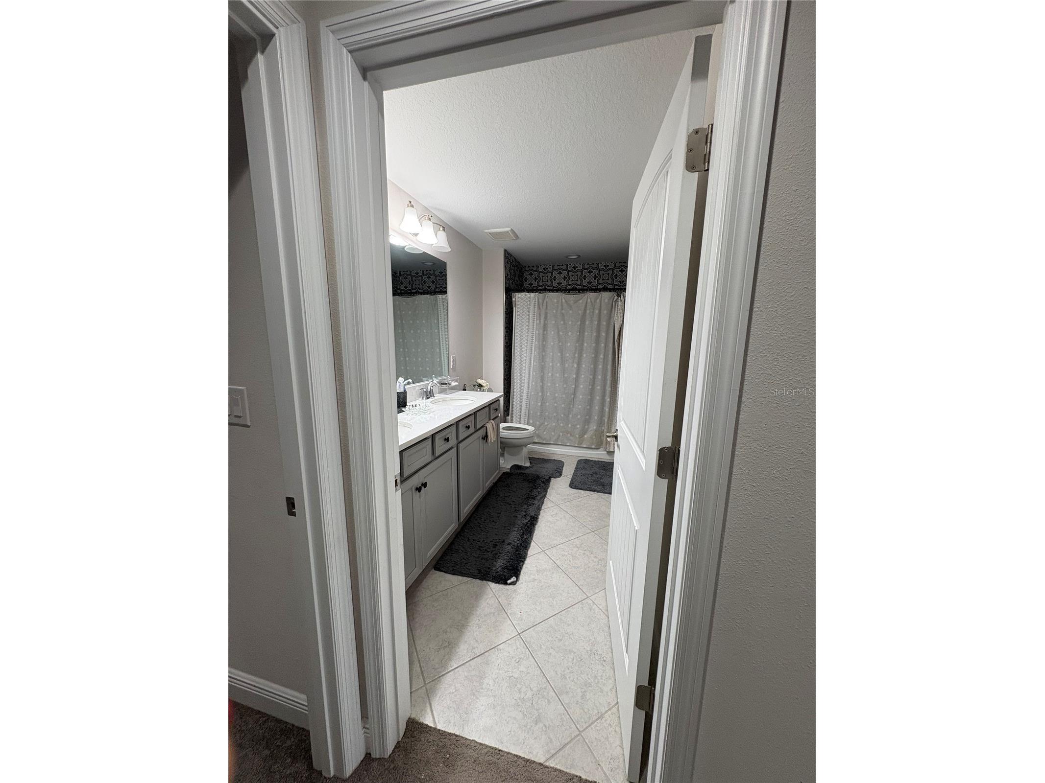 12649 Shetland Walk Drive Lithia FL 33547 TB8506395 image17