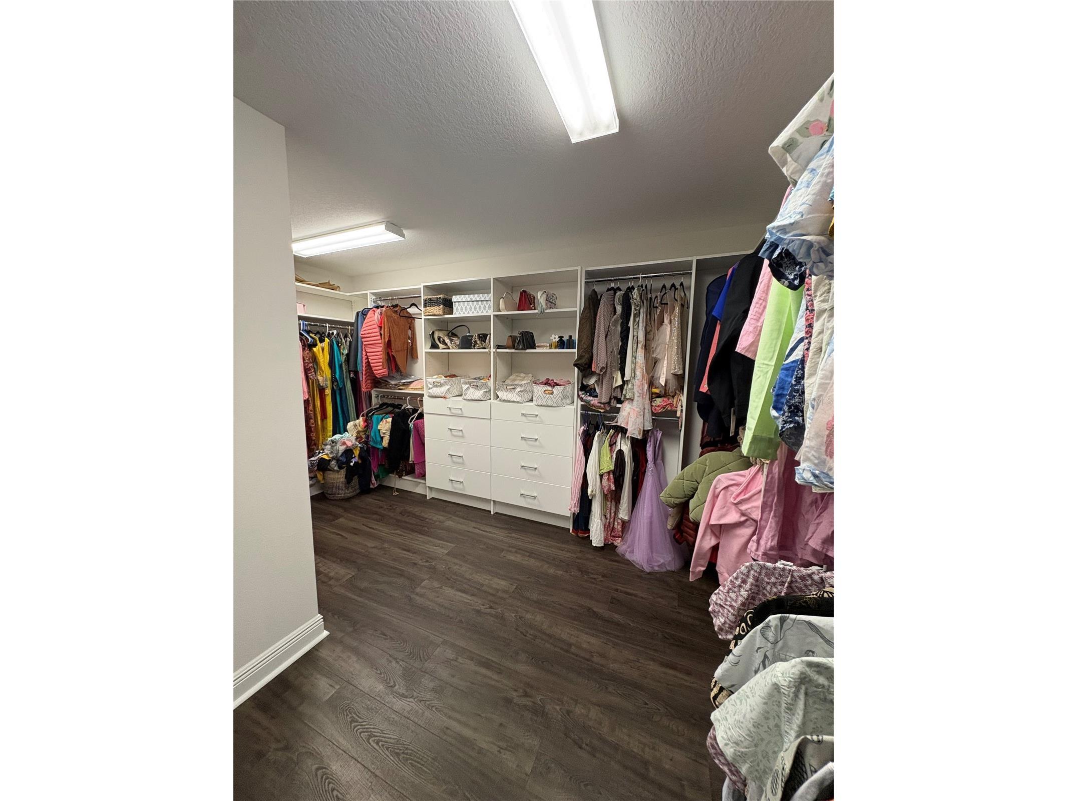 12649 Shetland Walk Drive Lithia FL 33547 TB8506395 image23