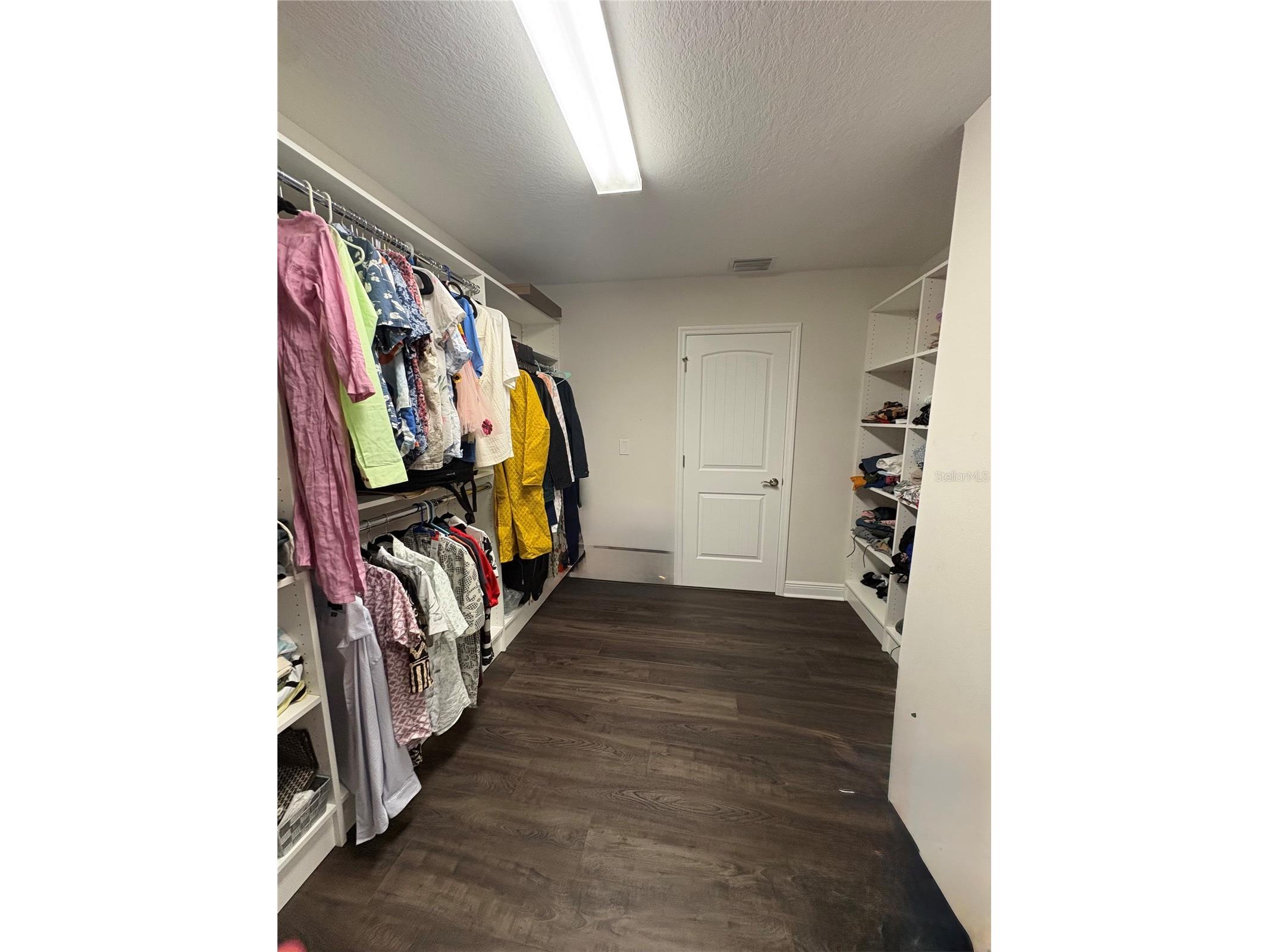 12649 Shetland Walk Drive Lithia FL 33547 TB8506395 image24