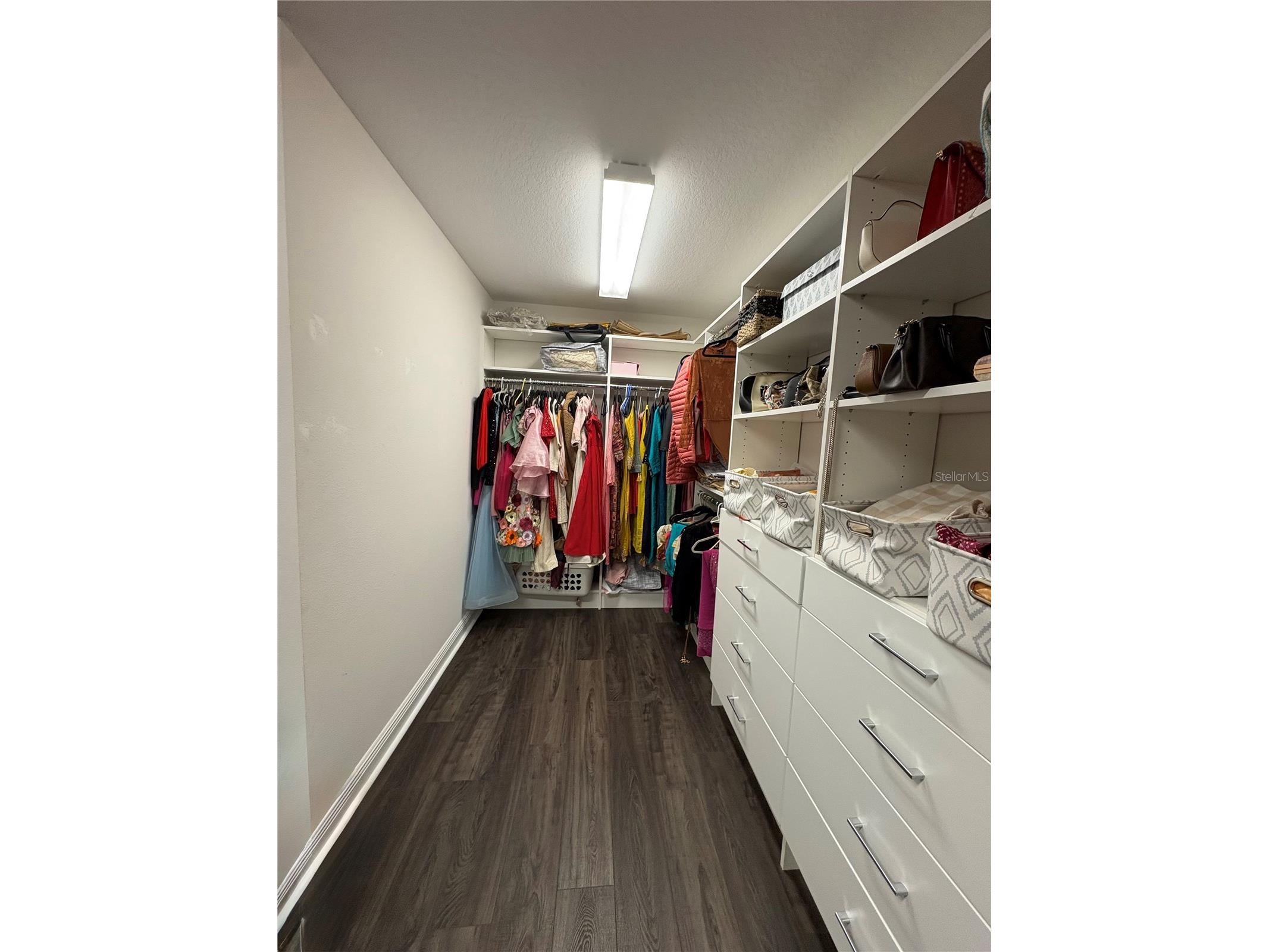 12649 Shetland Walk Drive Lithia FL 33547 TB8506395 image25