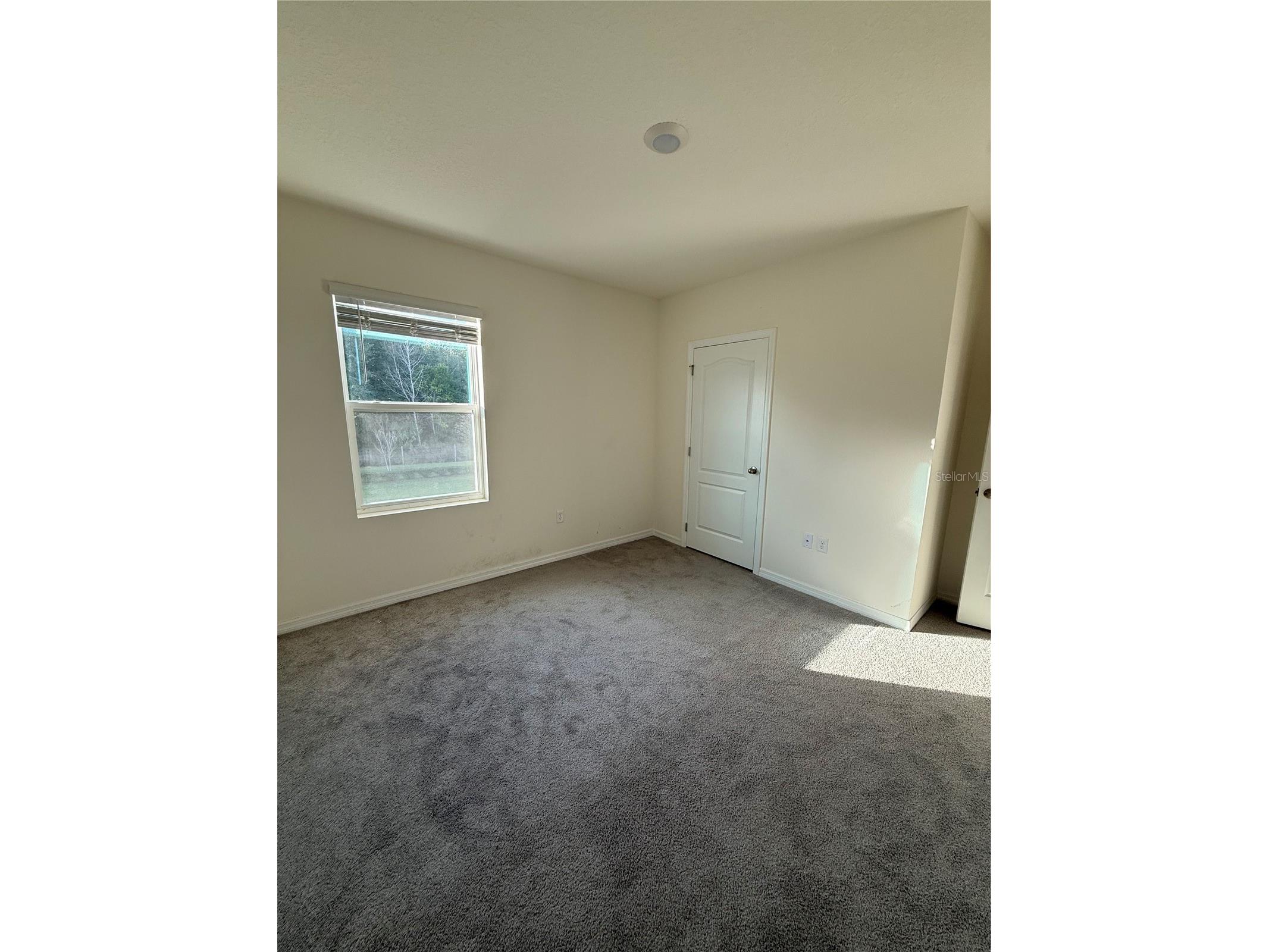 1265 Alstonia Lane Mount Dora FL 32757 O6367929 image12