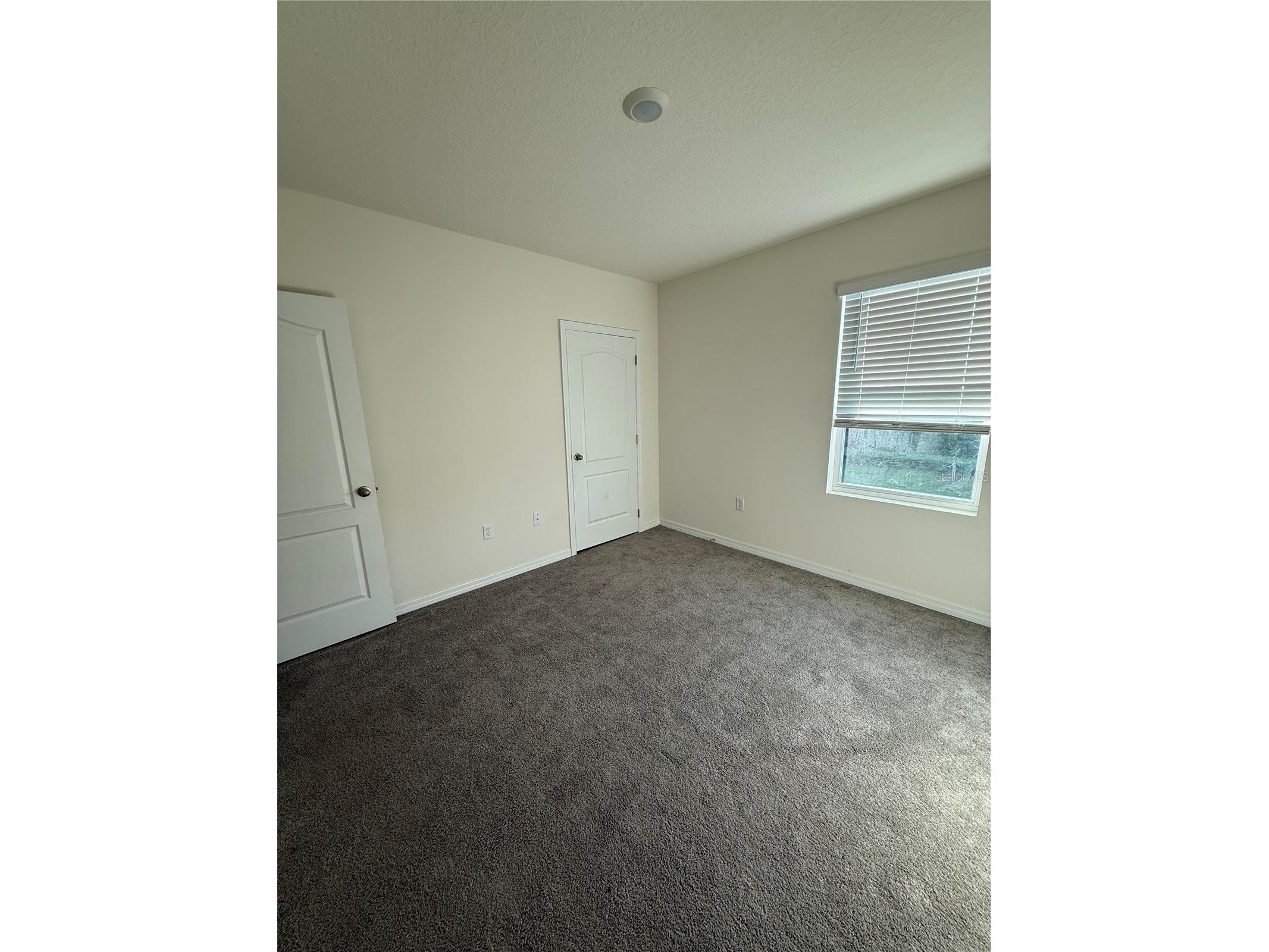 1265 Alstonia Lane Mount Dora FL 32757 O6367929 image17