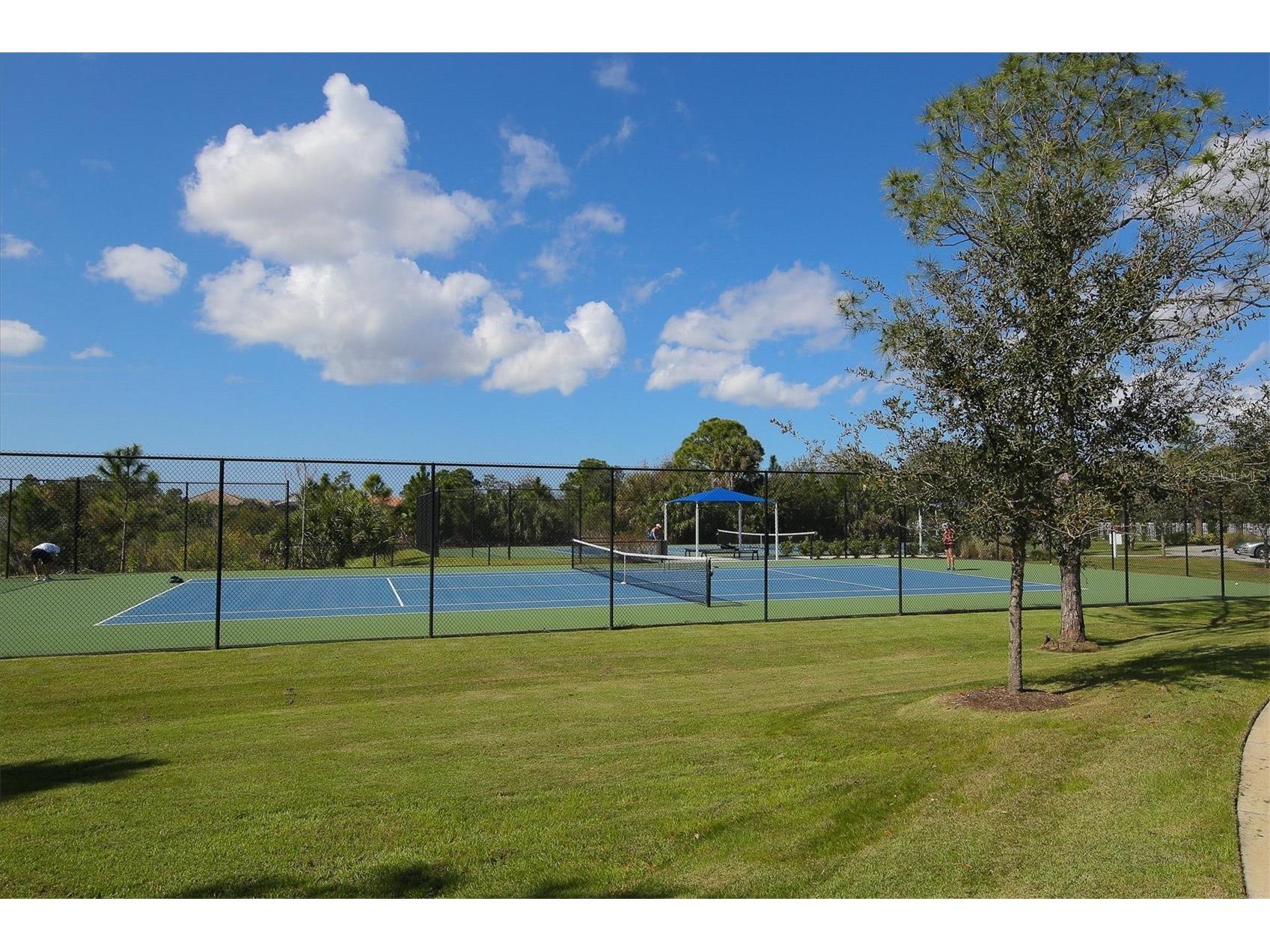 12650 Palatka Drive Venice FL 34293 N6144262 image42