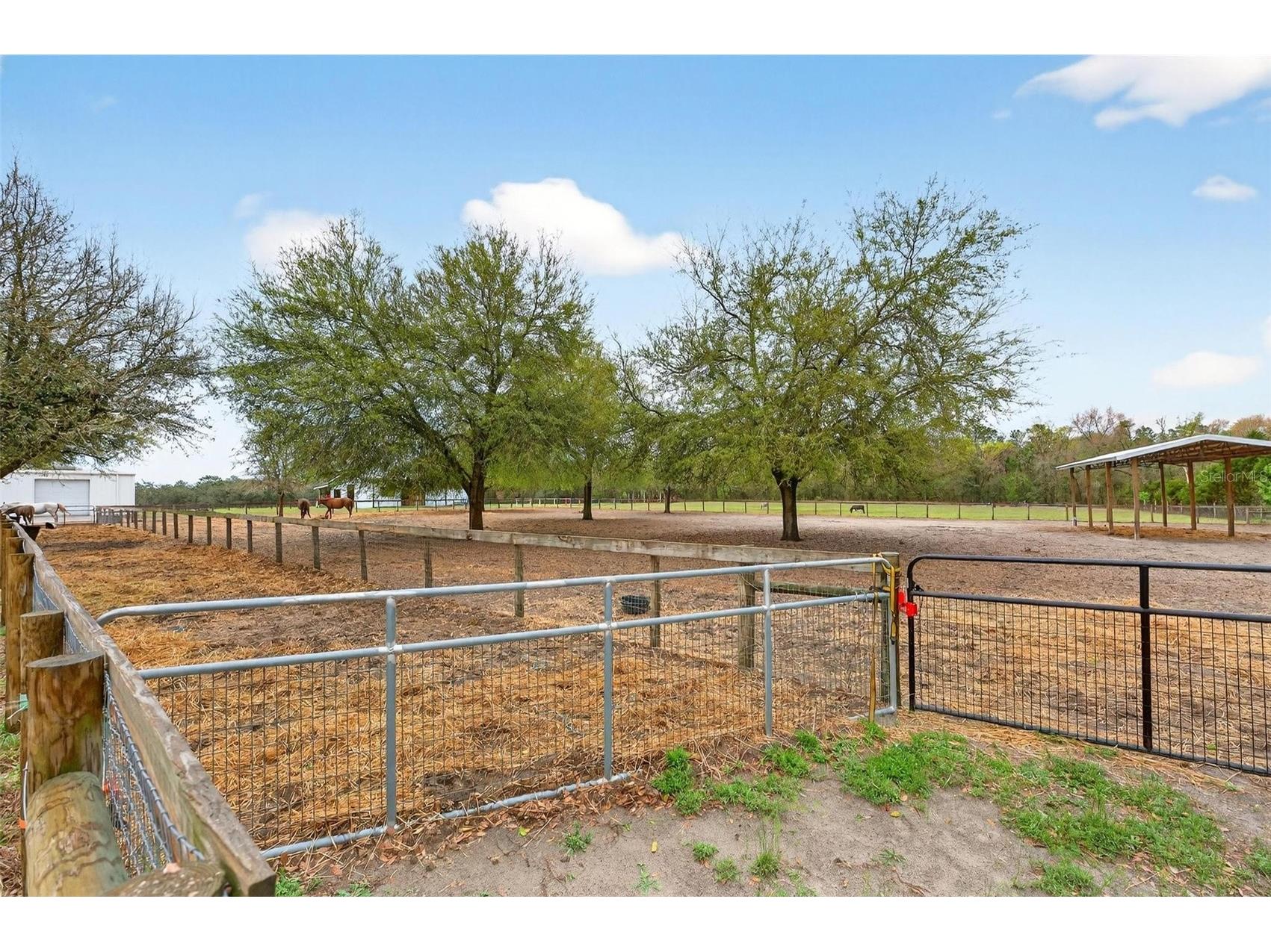 12650 SE 98th Lane Dunnellon FL 34431 OM720989 image67