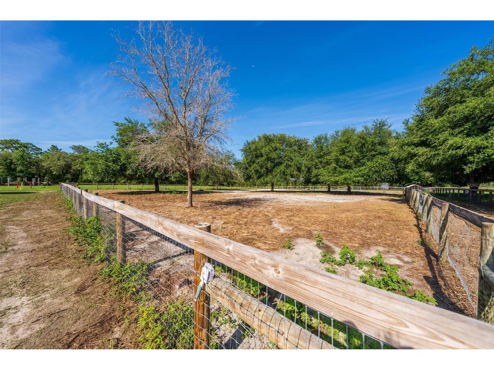 12650 SE 98th Lane Dunnellon FL 34431 OM720989 image76