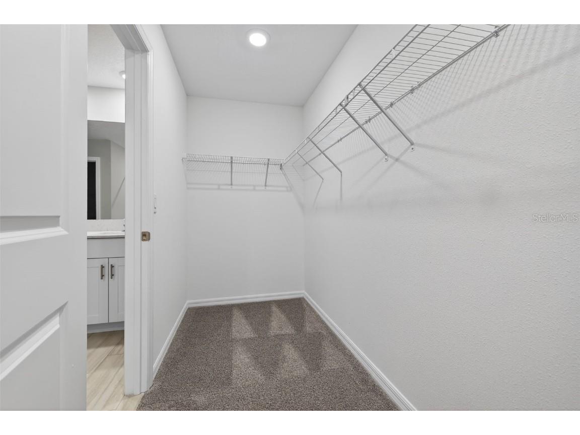 12651 Maple Bonsai Drive Riverview FL 33579 TB8453337 image29