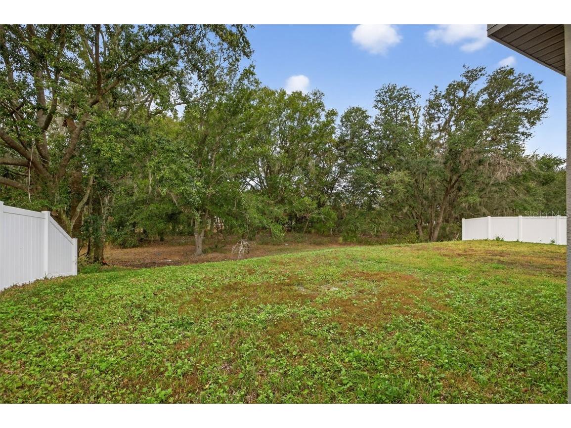 12651 Maple Bonsai Drive Riverview FL 33579 TB8453337 image40