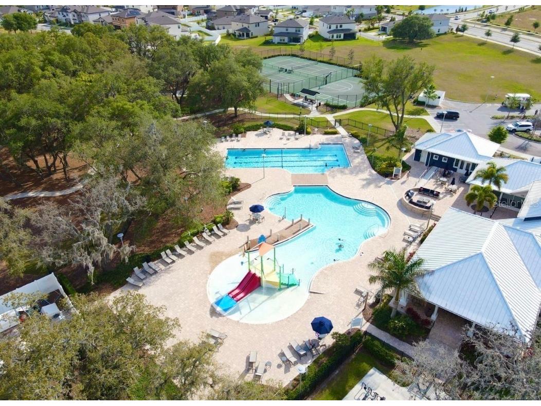 12651 Maple Bonsai Drive Riverview FL 33579 TB8453337 image6