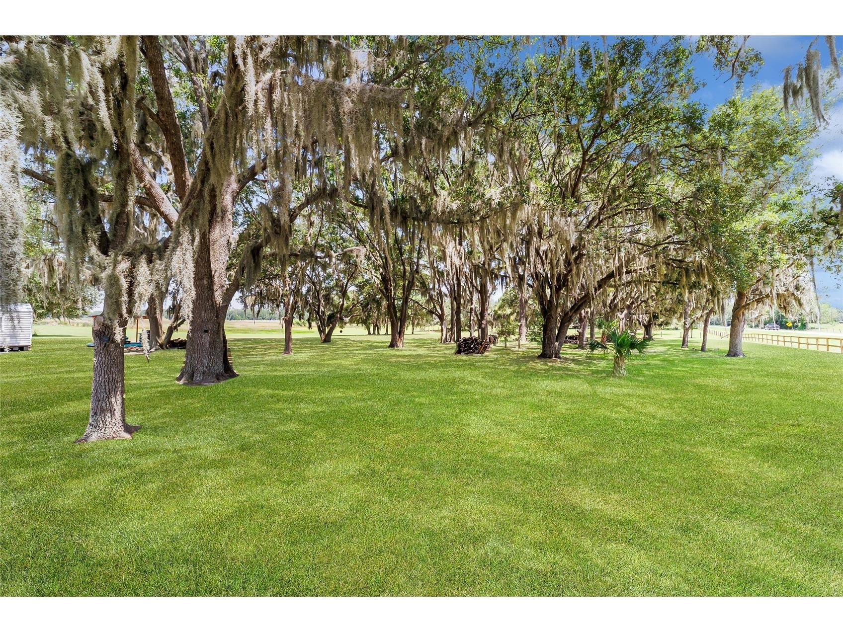 12651 SE County Road 337 Dunnellon FL 34431 OM704516 image71