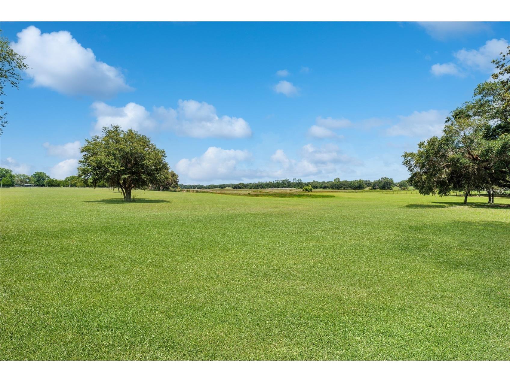 12651 SE County Road 337 Dunnellon FL 34431 OM704516 image72