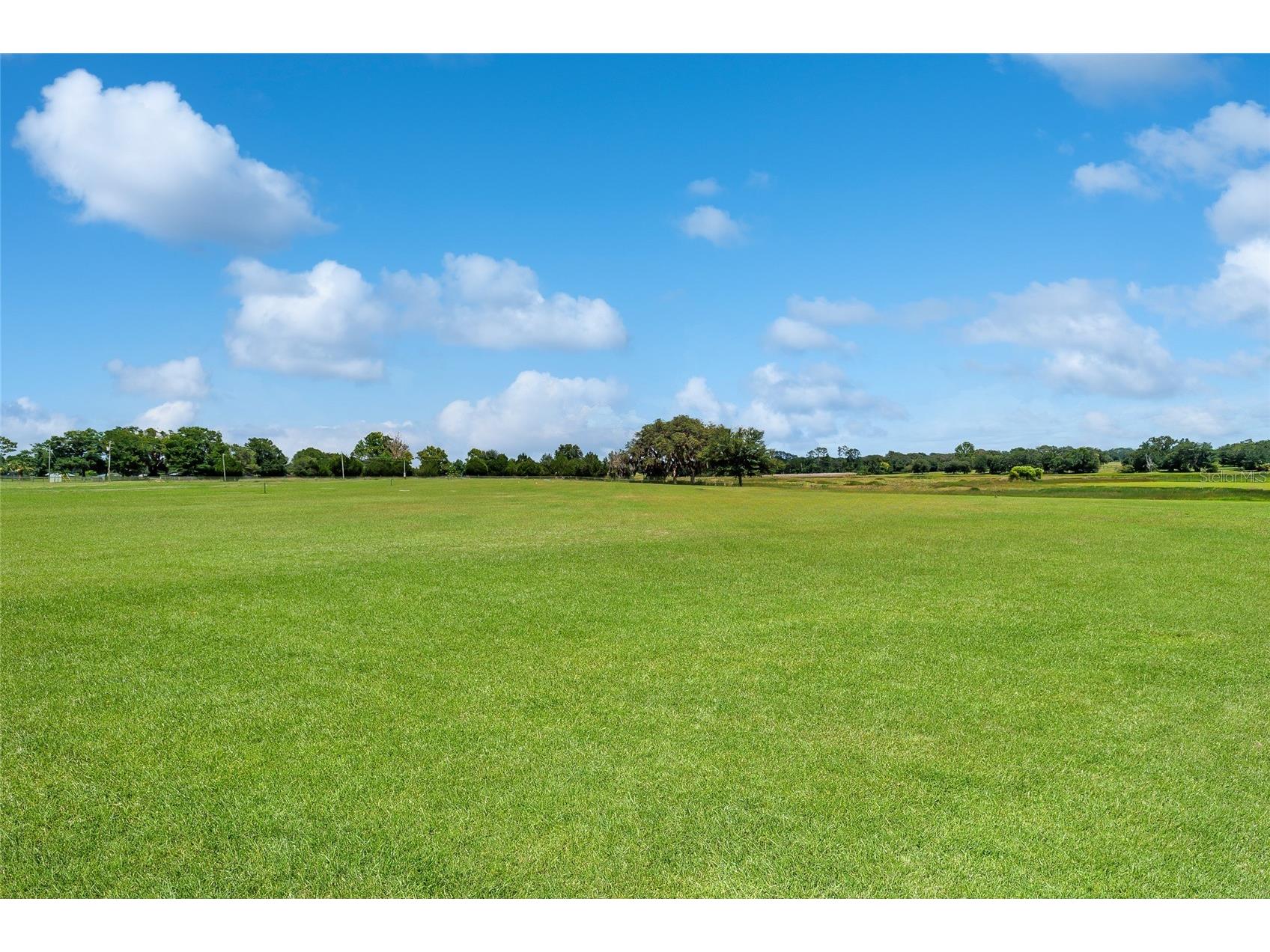 12651 SE County Road 337 Dunnellon FL 34431 OM704516 image73