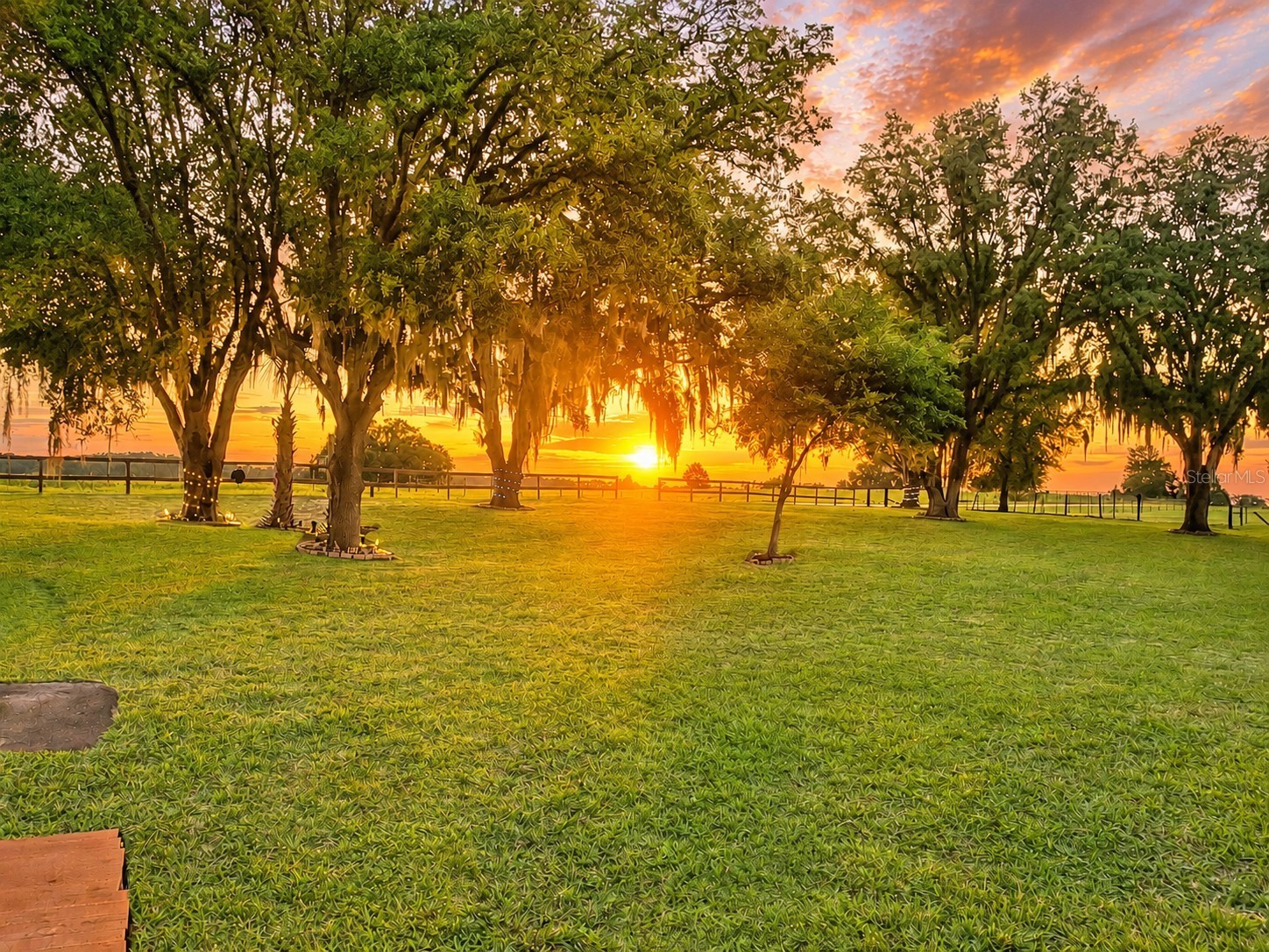 12651 SE County Road 337 Dunnellon FL 34431 OM704516 image89