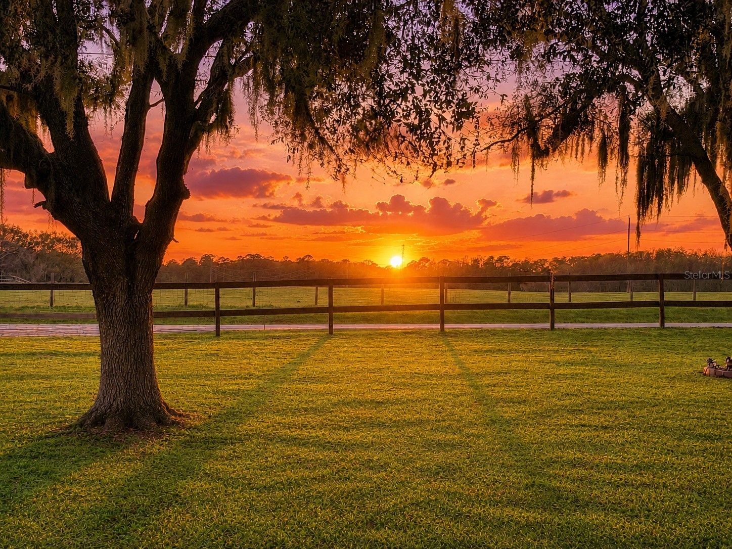 12651 SE County Road 337 Dunnellon FL 34431 OM704516 image90