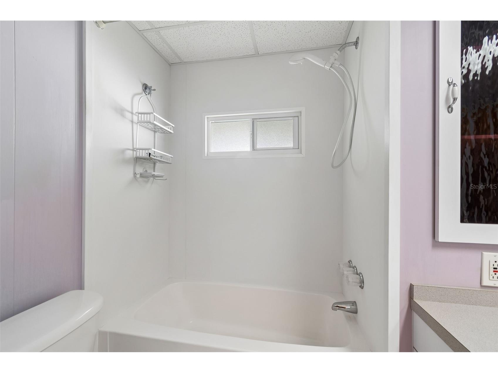 12651 Seminole Boulevard #15I Largo FL 33778 TB8495754 image32