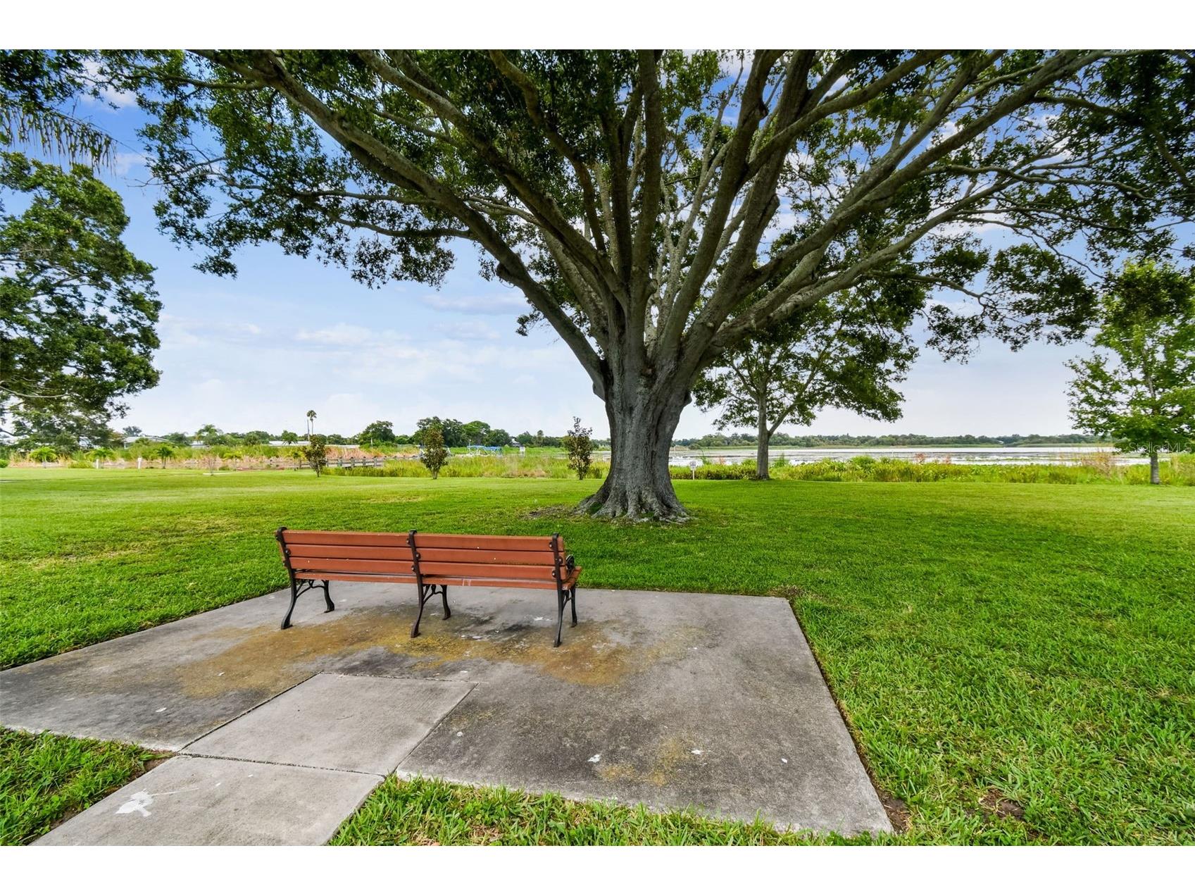 12651 Seminole Boulevard #15I Largo FL 33778 TB8495754 image68