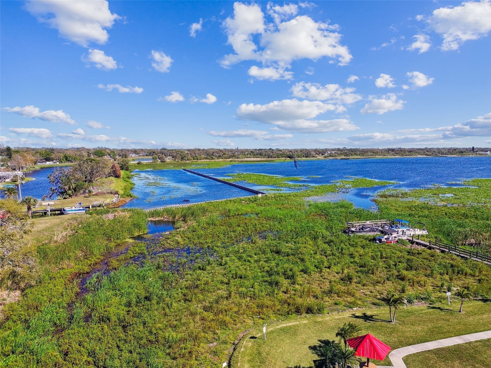 12651 Seminole Boulevard #2C Largo FL 33778 - LAKE SEMINOLE TB8461461 image49