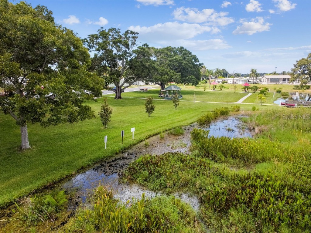 12651 Seminole Boulevard #35 Largo FL 33778 TB8420694 image50