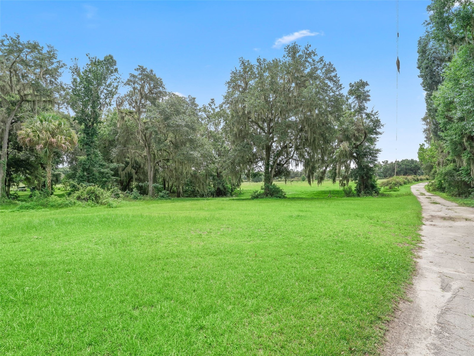 12651 W Highway 318 Williston FL 32696 OM705773 image2