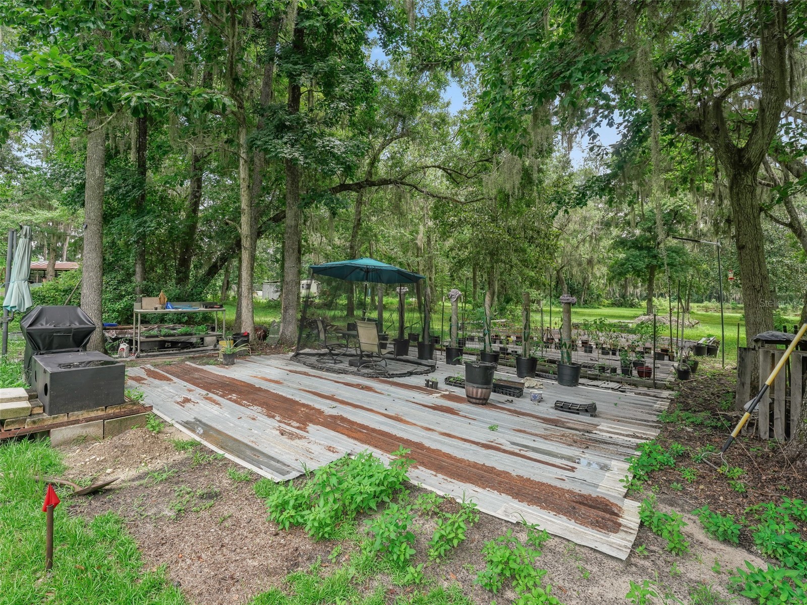 12651 W Highway 318 Williston FL 32696 OM705773 image40