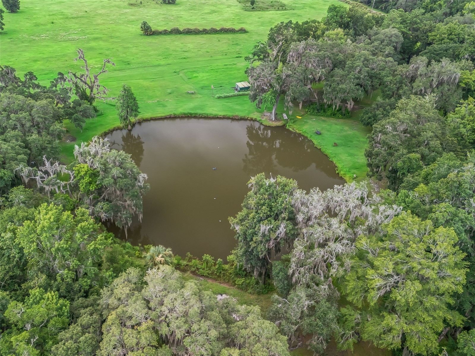 12651 W Highway 318 Williston FL 32696 OM705773 image44