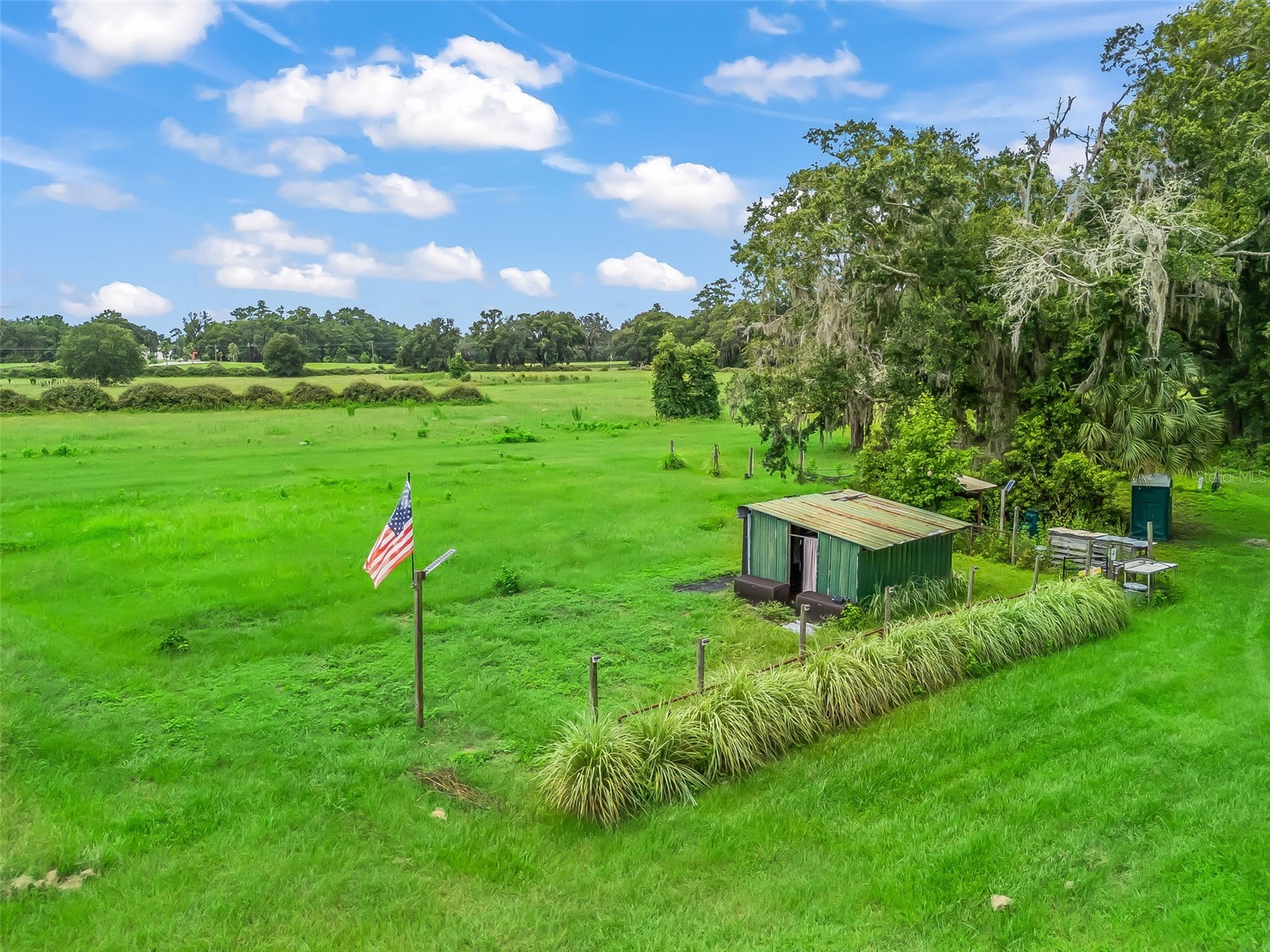 12651 W Highway 318 Williston FL 32696 OM705773 image47