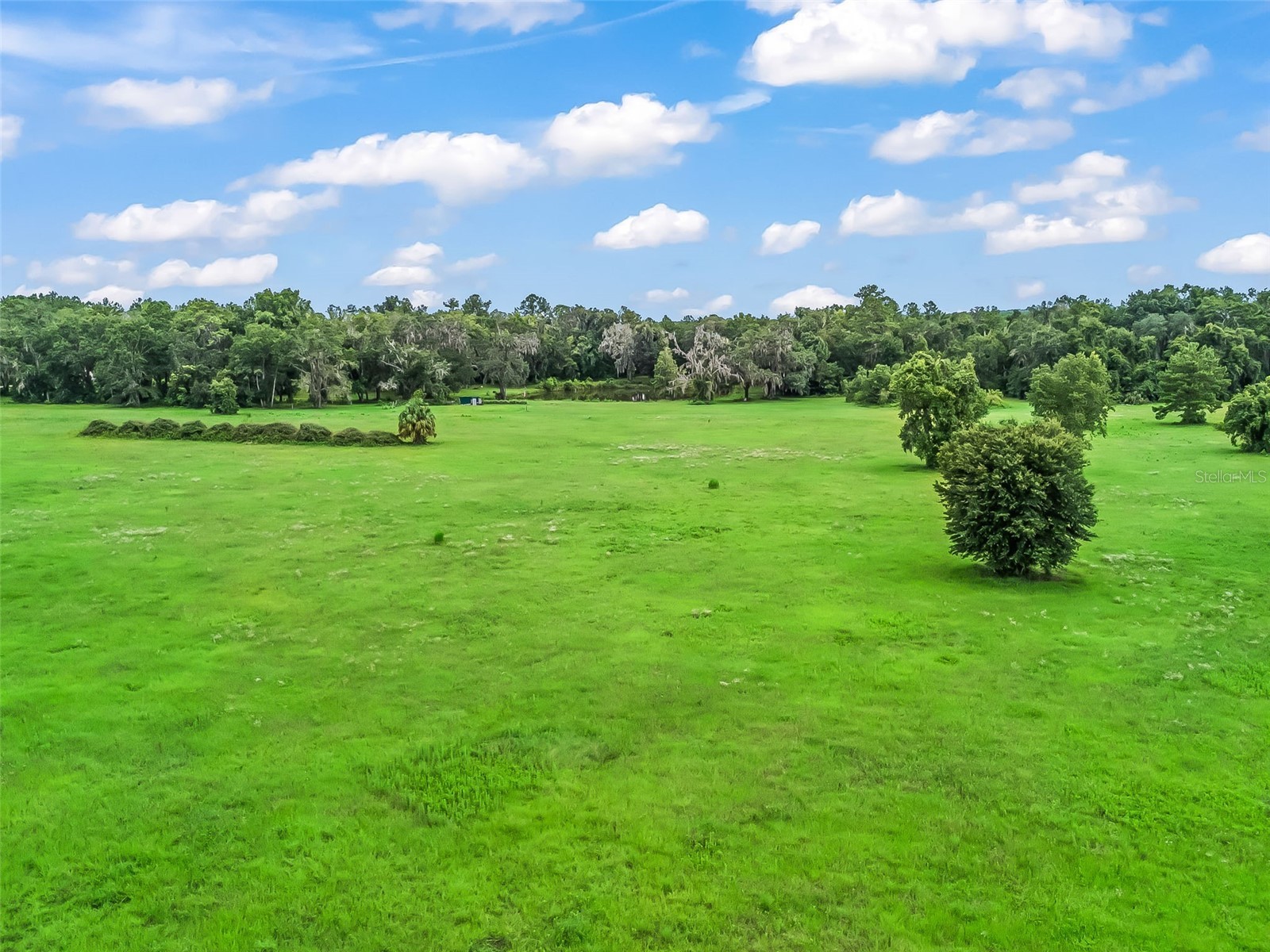 12651 W Highway 318 Williston FL 32696 OM705773 image48