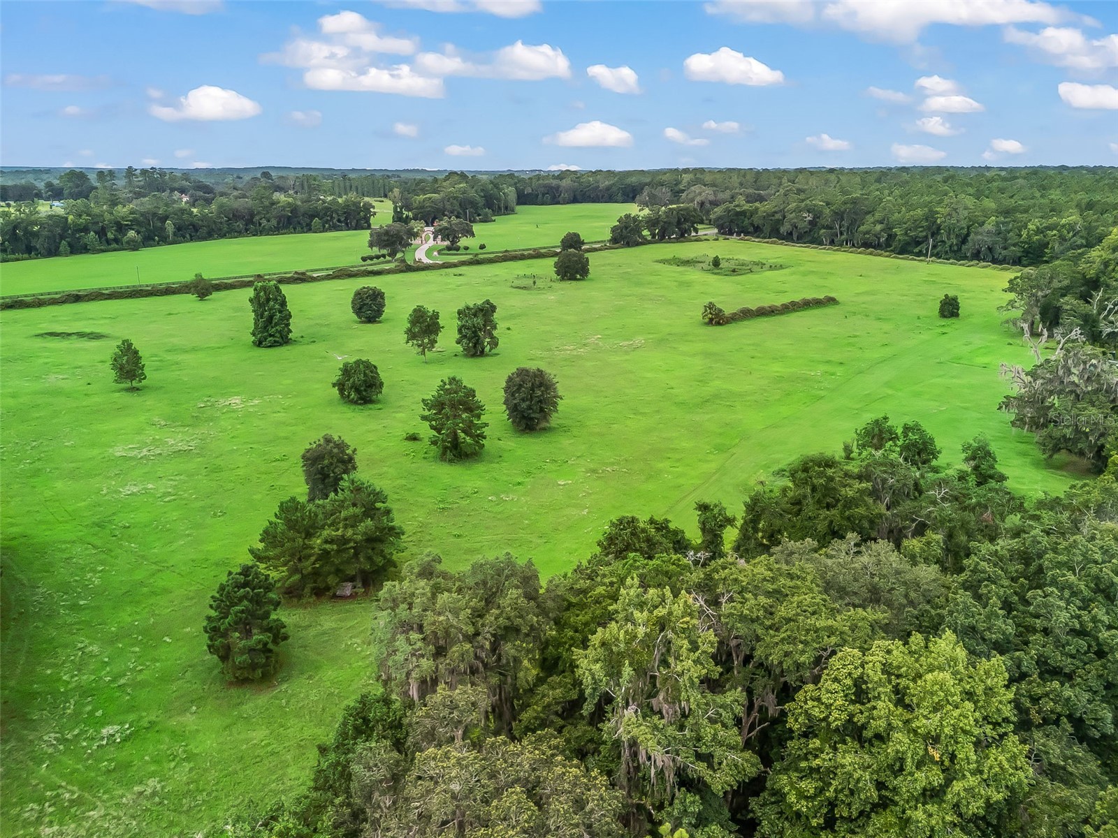 12651 W Highway 318 Williston FL 32696 OM705773 image49