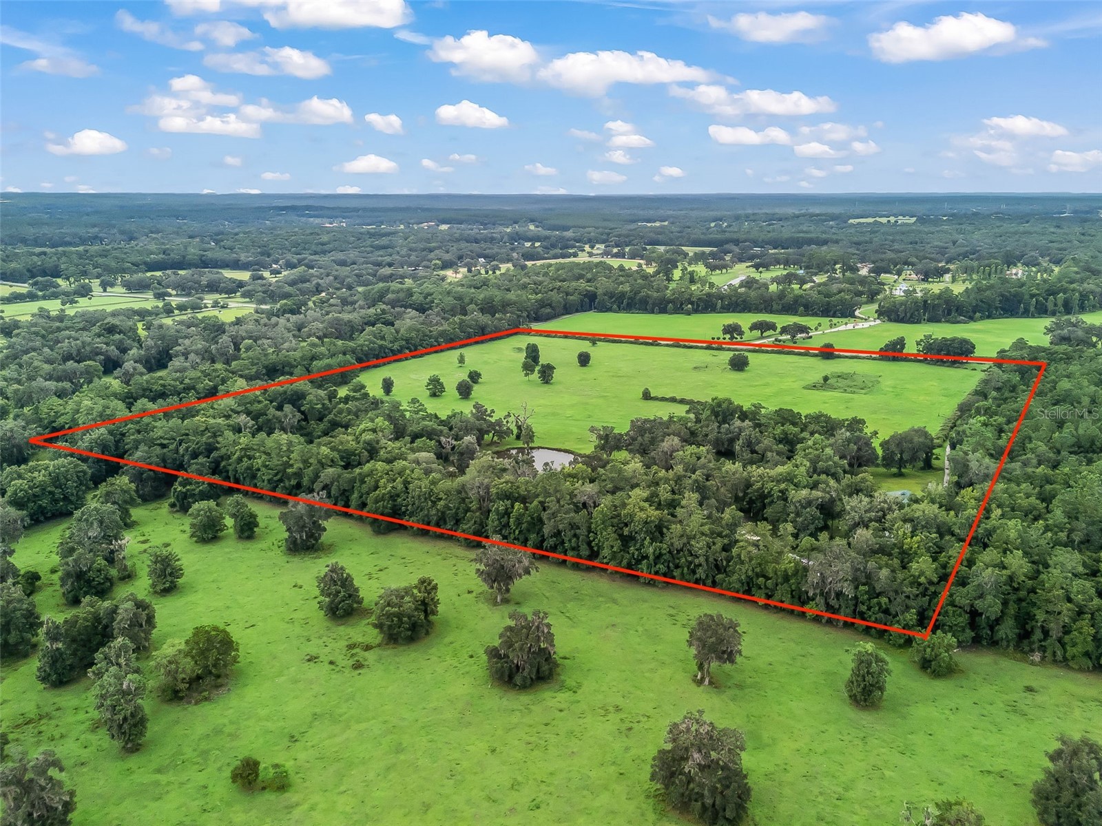 12651 W Highway 318 Williston FL 32696 OM705773 image50