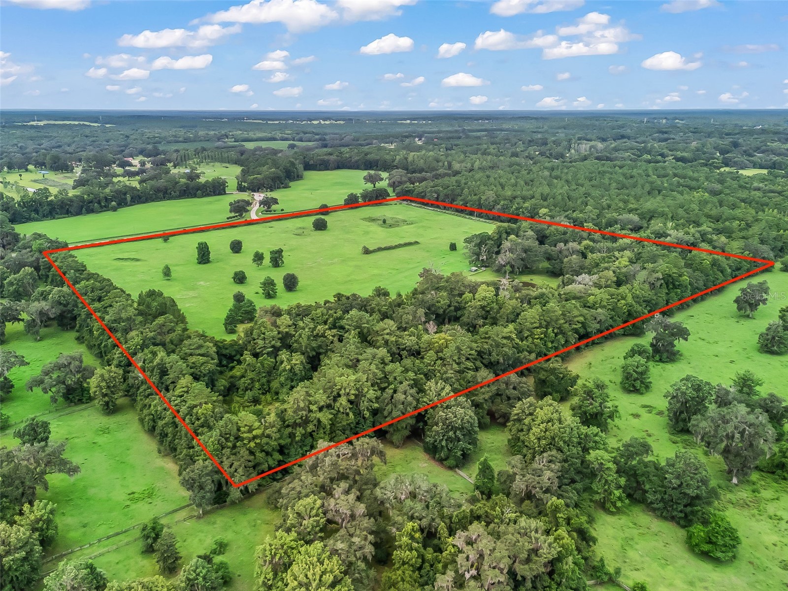 12651 W Highway 318 Williston FL 32696 OM705773 image51