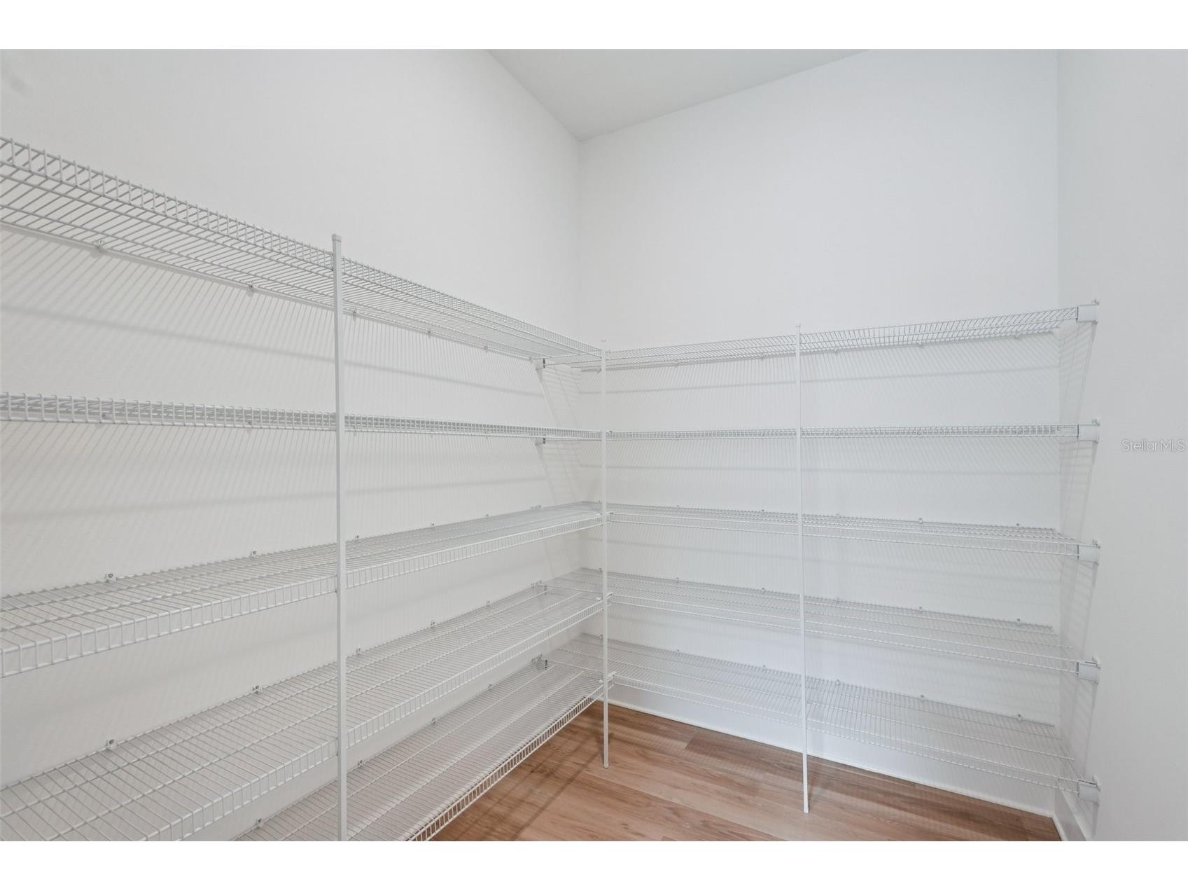 12652 Ivory Tusk Lane Spring Hill FL 34610 TB8487918 image15