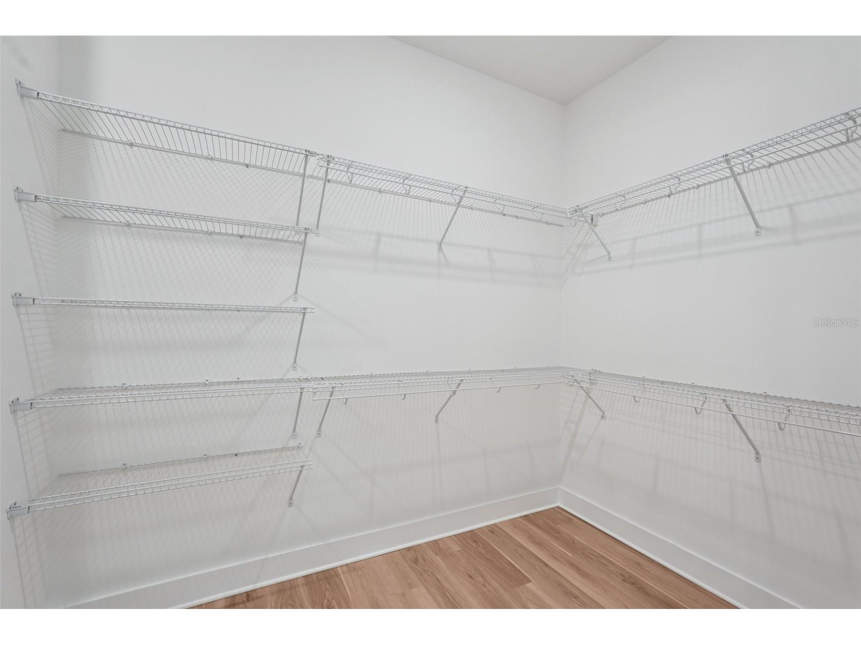 12652 Ivory Tusk Lane Spring Hill FL 34610 TB8487918 image36