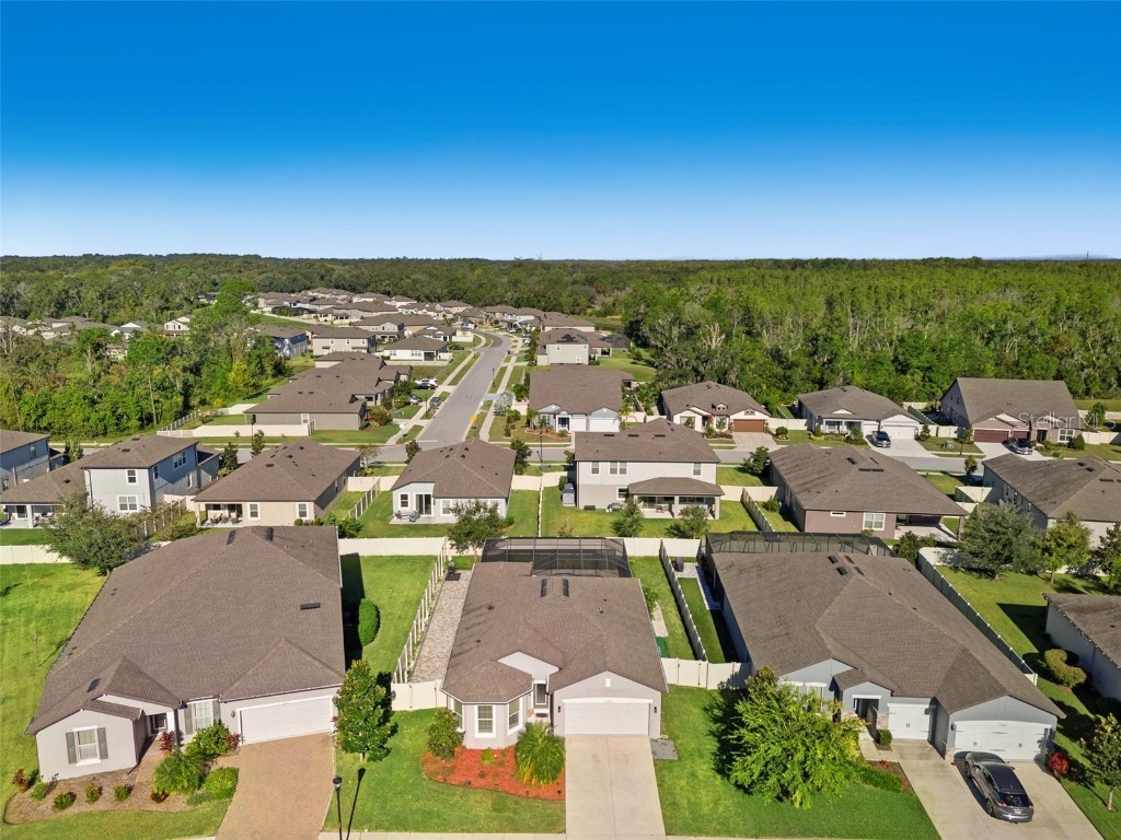 12653 Palapa Loop Spring Hill FL 34610 W7880279 image49