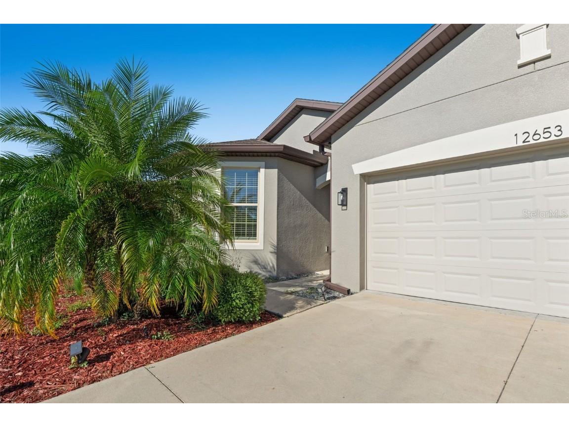 12653 Palapa Loop Spring Hill FL 34610 W7880279 image6