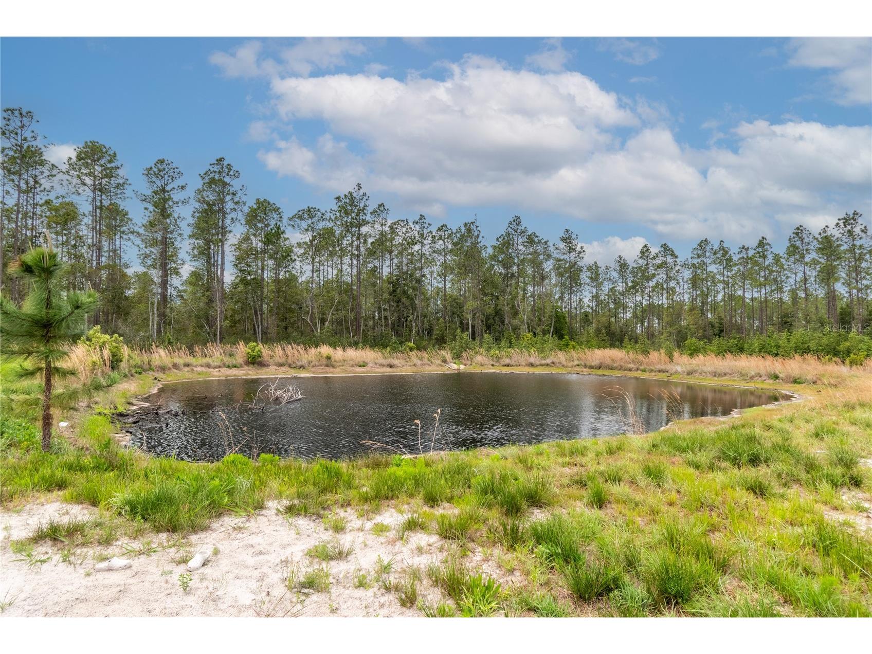 12655 NE 215th Street Fort Mc Coy FL 32134 G5110739 image31