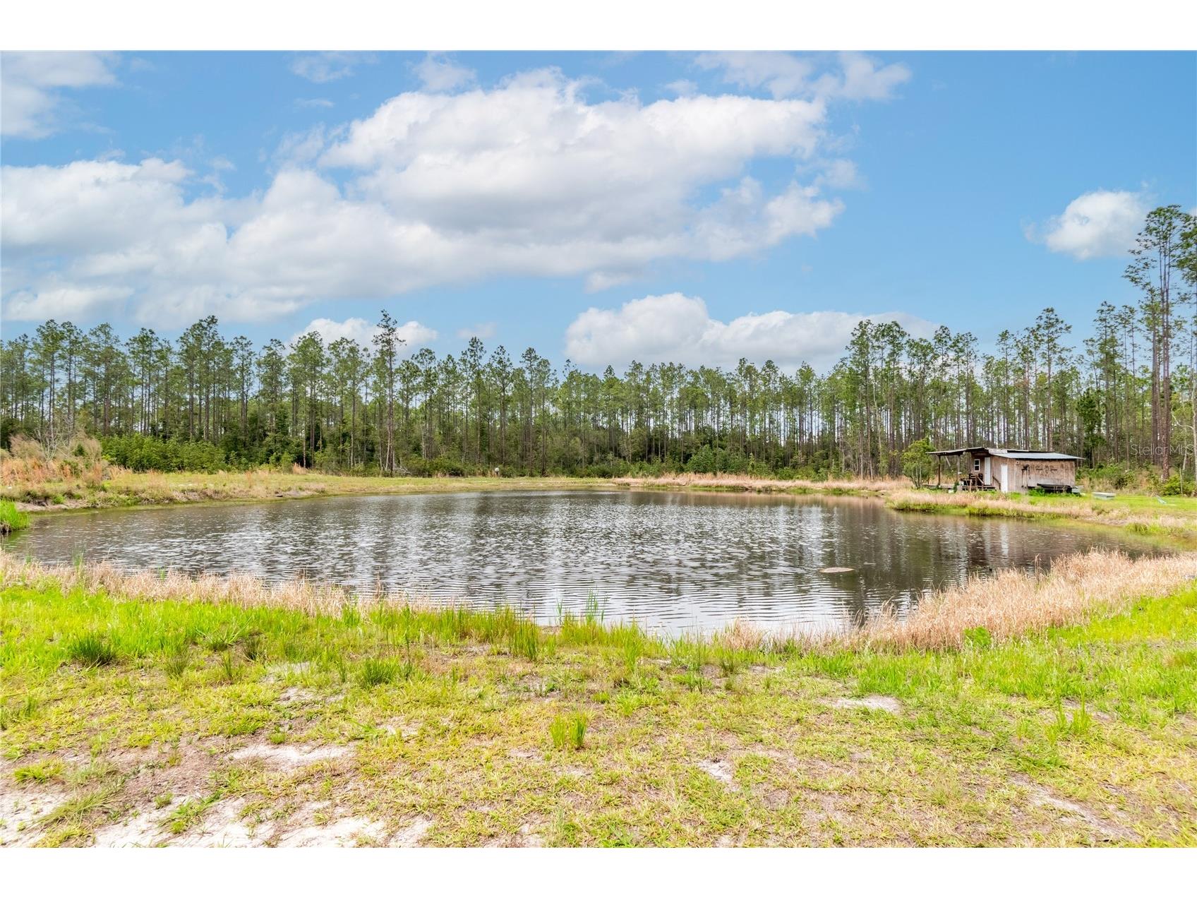 12655 NE 215th Street Fort Mc Coy FL 32134 G5110739 image52