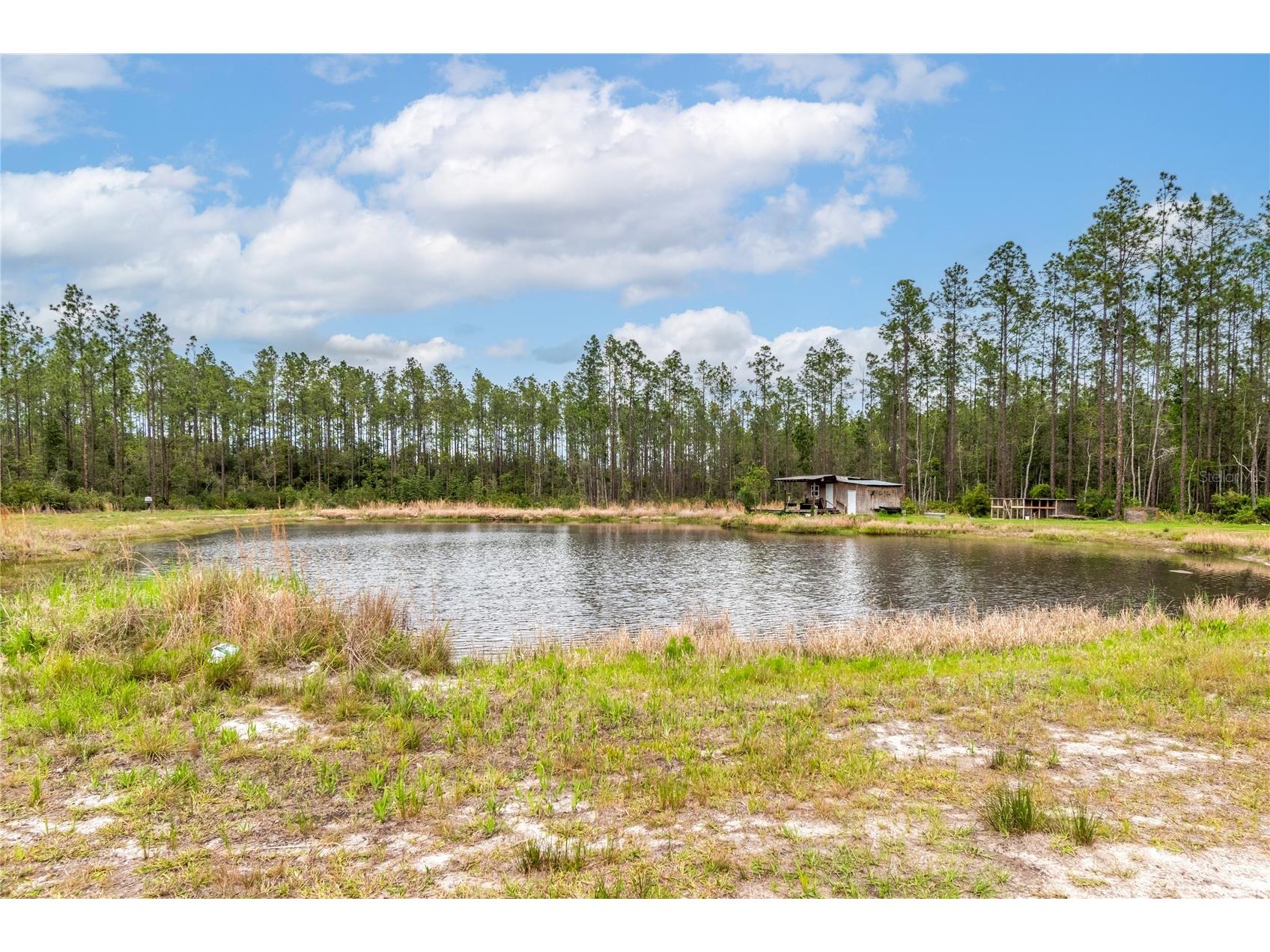 12655 NE 215th Street Fort Mc Coy FL 32134 G5110739 image53