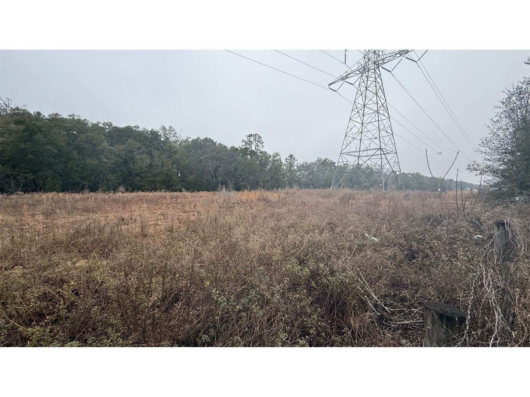 12656 SE 78th Terrace Belleview FL 34420 OM718228 image6