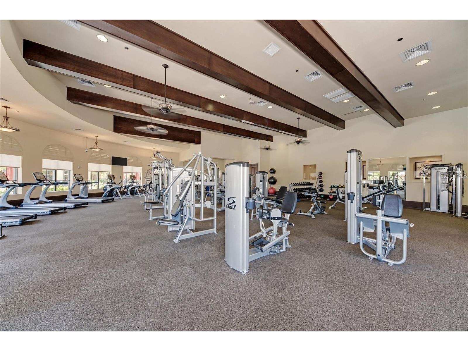 12659 Richezza Drive Venice FL 34293 N6143092 image41
