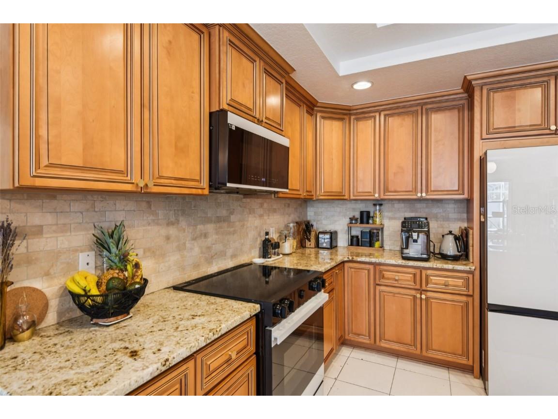 1266 Paradise Lake Drive Tarpon Springs FL 34689 - North Lake TB8409612 image13