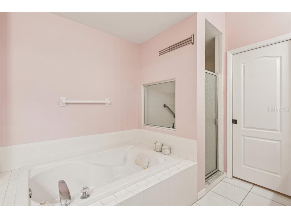 1266 Paradise Lake Drive Tarpon Springs FL 34689 - North Lake TB8409612 image28