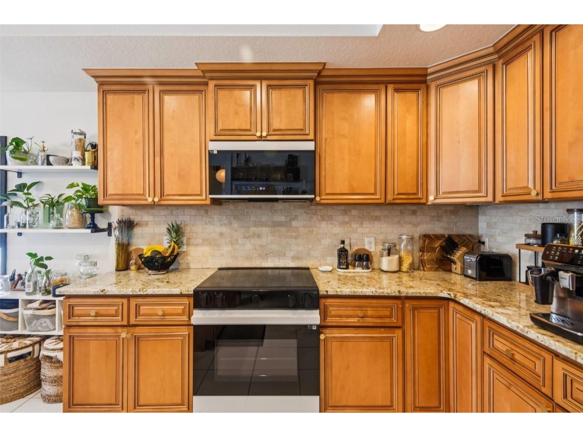 1266 Paradise Lake Drive Tarpon Springs FL 34689 - North Lake TB8436695 image14