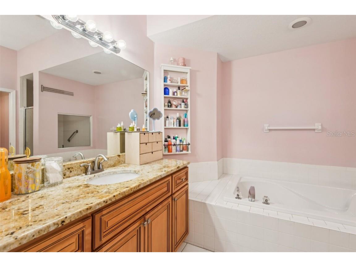 1266 Paradise Lake Drive Tarpon Springs FL 34689 - North Lake TB8436695 image29